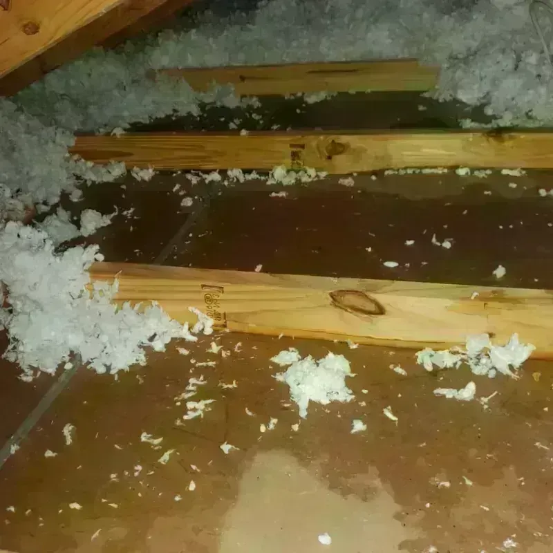 Attic Water Damage in Oatfield, OR